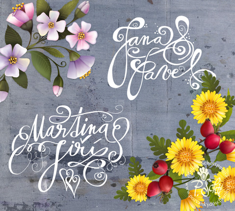 Svatební oznámení s ruční typografií jmen