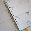 Týdenní kalendárium diar2013